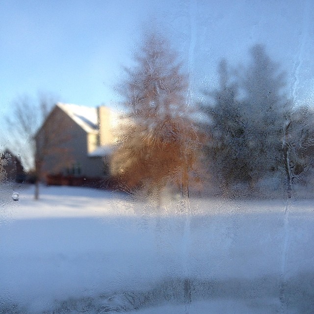 Winter Impressions at minus 14 #deepfreeze2014 #frost #outmywindow