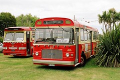 New Zealand Buses and Coaches