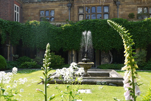 Flowers and the Fountain