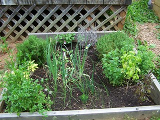 Herb bed, gardening, raised bed, herbs, health, herbal