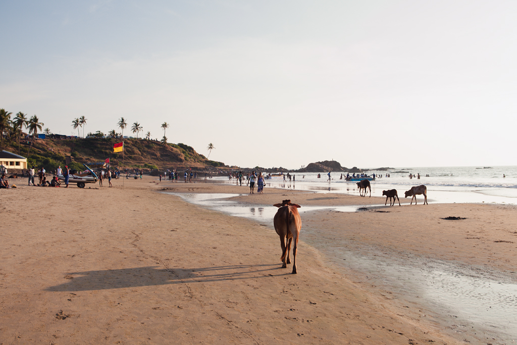 Goa, travel, фотографии Гоа, Пляжи Гоа, закат, море, пляж