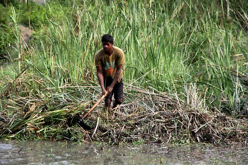Namuna Buffer Zone Community Forest, where Hariyo Ban Program has initiated wetland and grassland management © WWF Nepal / Pallavi Dhakal