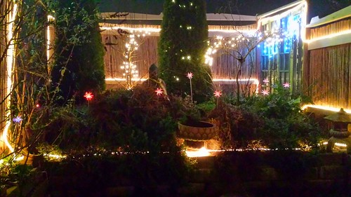 Color night lights, A Garden for the Buddha, Seattle, Washington,  USA by Wonderlane