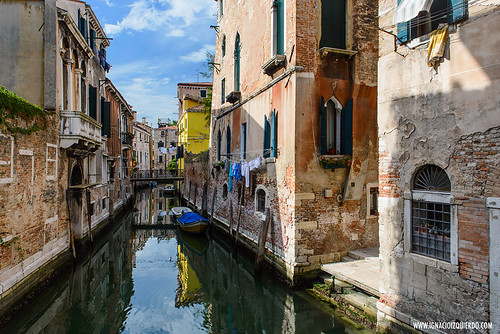 Venice 49