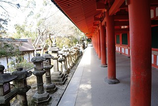 Red pillars of Kasuga-Taisha Shinto Shrine.