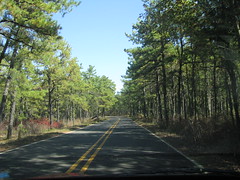 New Jersey Pine Barrens - October 15, 2011