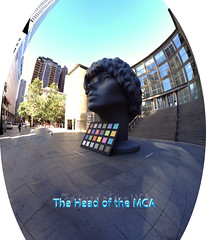 the "Head of the MCA" by doug.siefken