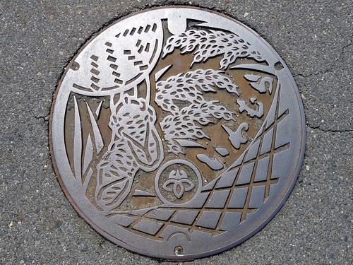 Iwamura Gifu , manhole cover 2 （岐阜県岩村町のマンホール２）