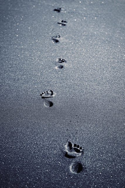 ~ Footprints ~