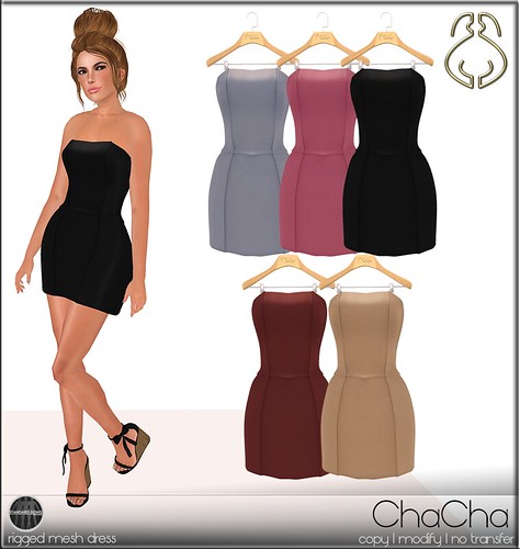 SYSY's-ChaChadress-Poster