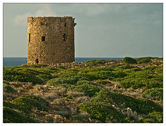 Sardinian Coastal towers