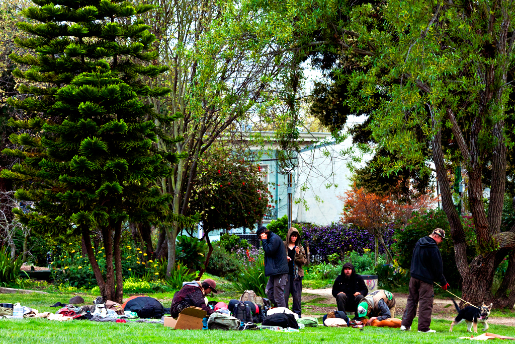 People's-Park-in-3-13--Berkeley