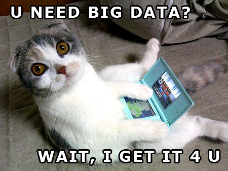 big-data-kitty by WilliamBanzai7/Colonel Flick