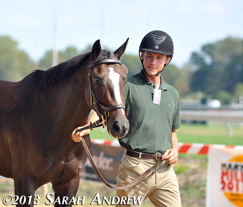 Retired Racehorse Training Project's first-annual Thoroughbred Makeover and National Symposium