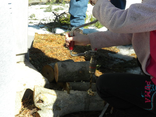 Maple Sugaring with Friends of High School Park