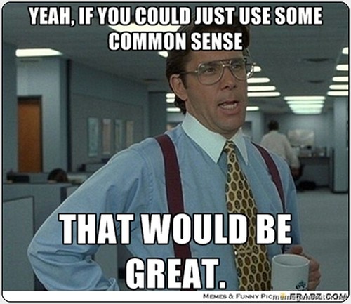 Yeah, if you could just use some common sense That would be great. - Yeah If You Could Just | Meme Generator