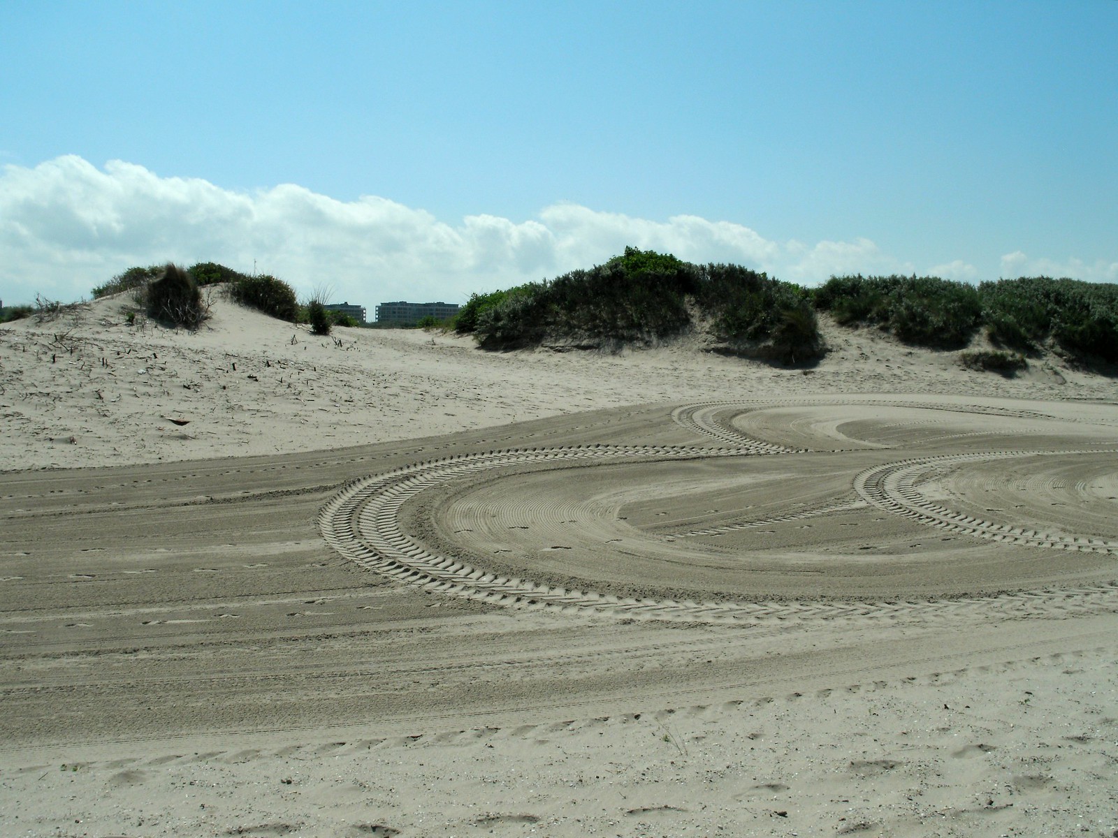 Marks in the sand show that vehicles have driven on the beach.