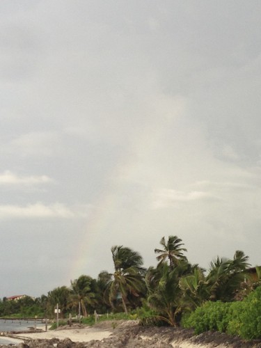 Rainbow during morning walk.