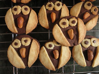 Owl Sablé Cookies