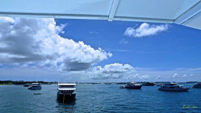 ¡Maldivian Dream! - Blogs de Maldivas - El barco. Un lujo a precio asequible. (3)