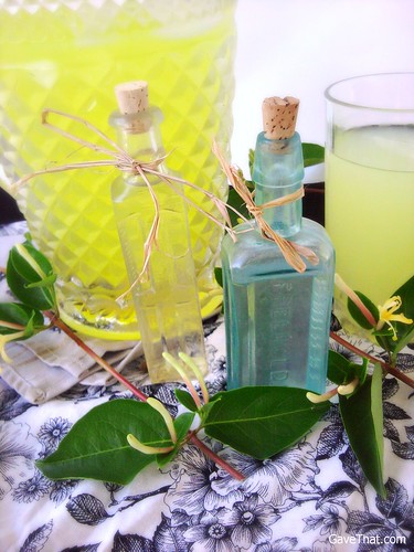 Honeysuckle Lemonade plus how to make honeysuckle floral water hostess gifts and favors by gift style blog Gave That