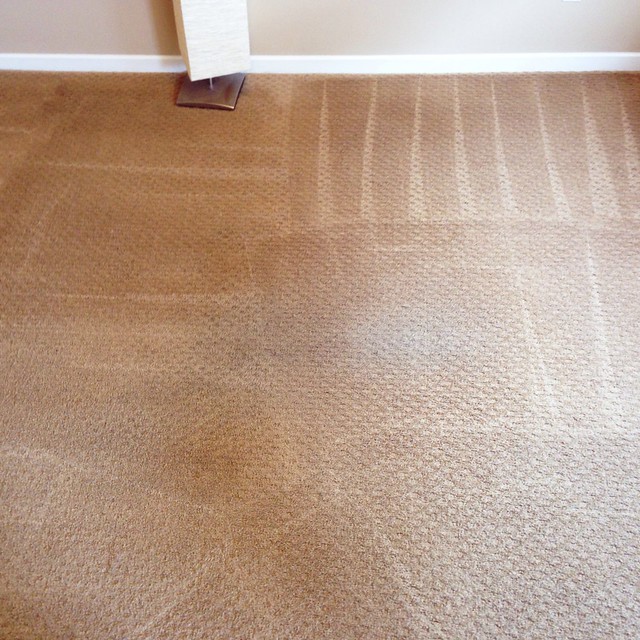 Carpet Cleaning Services Edmonton T5J