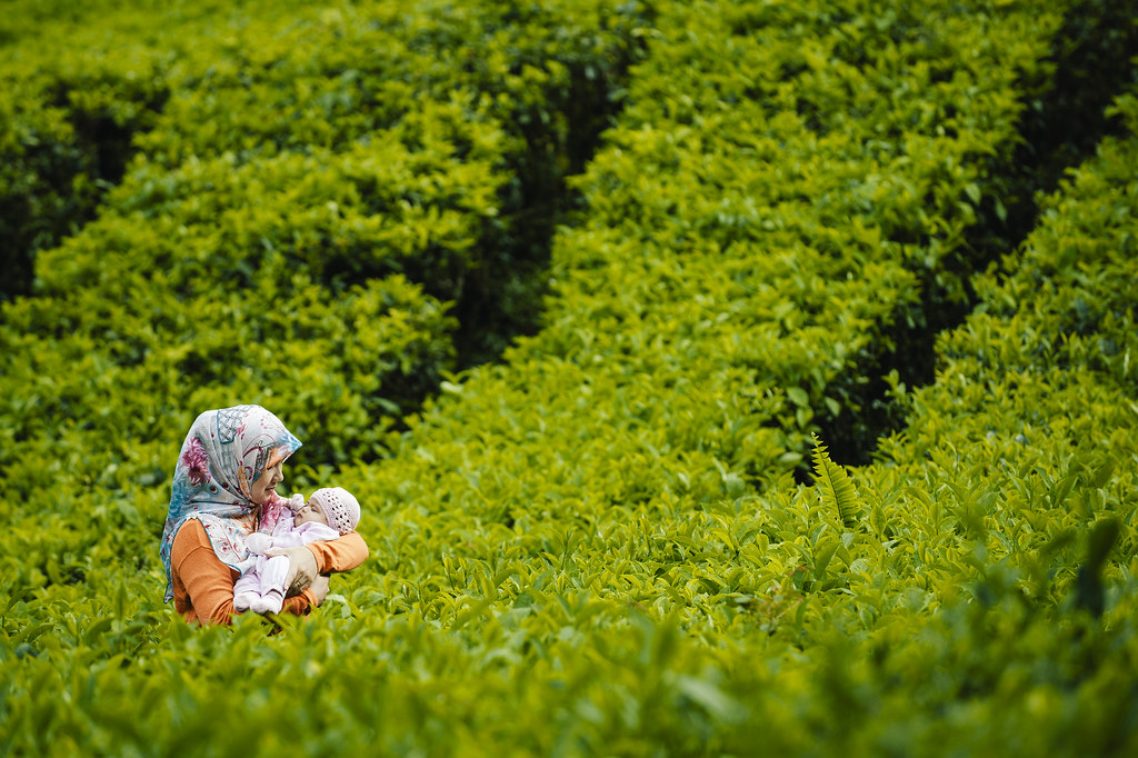 Mother and Daughter | Habu Boh Tea Plantation | Cameron Highlands