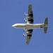 Air Contracts L382G Hercules