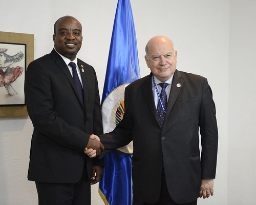 OAS Secretary General Meets with Foreign Minister of Haiti