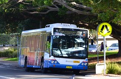 Buses - Sydney