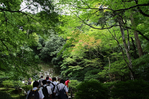 Walking up the hill behind Ginkakuji