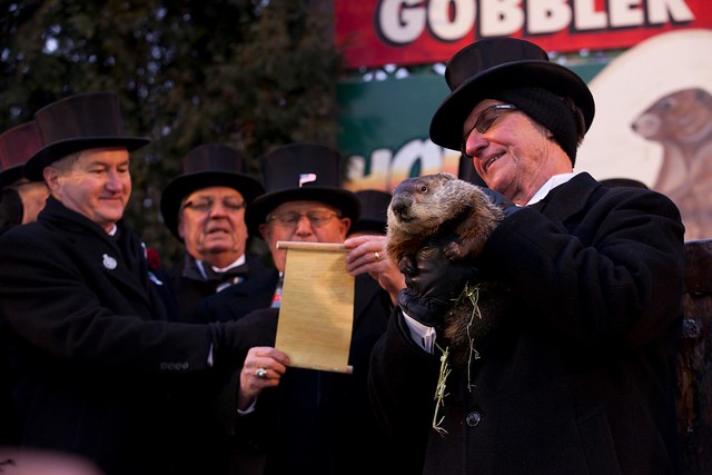 Punxsutawney Phil on Groundhog's Day in Gobbler's Knob