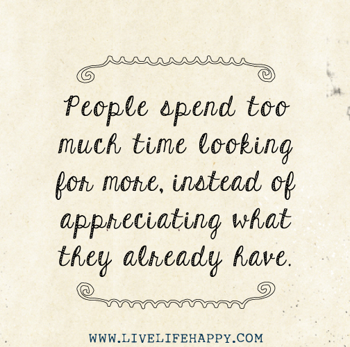 People spend too much time looking for more, instead of appreciating what they already have.