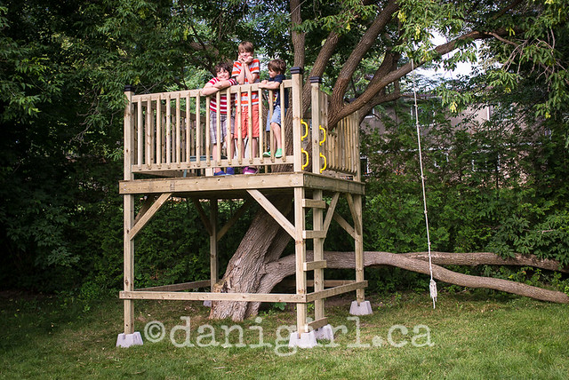 New treehouse