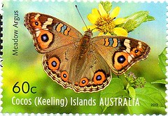 Postage Stamps - Australia Insects