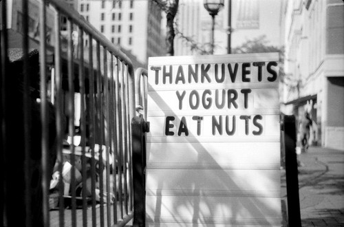 THANKUVETS YOGURT EAT NUTS