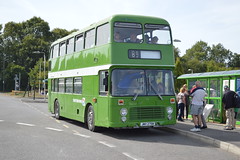 Horsham Bus Rally 2013