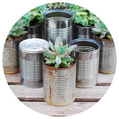 Tin Can Planter