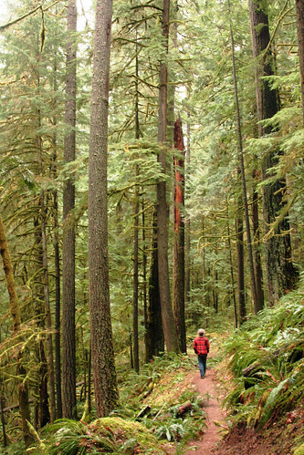 Be aware of your surroundings when visiting National Forest System land.  Deception Creek Trail. Willamette National Forest, Oregon. (US Forest Service photo)