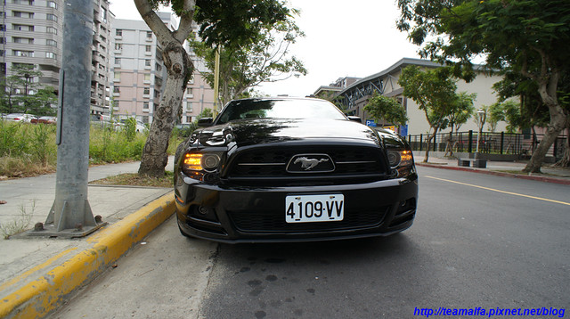 Mustang098