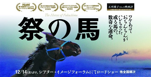 《祭馬》電影海報，圖片來源：綠盟