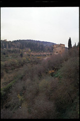 Alhambra de Granada 1991
