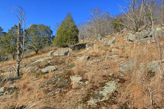 Piedmont Habitats