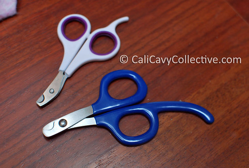 Guinea pig nail clippers in small and large size