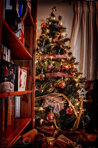 Christmas Tree 2013 by Hexagoneye Photography