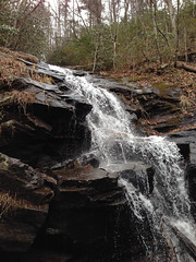Falls on Feeder of Andrews Creek 
