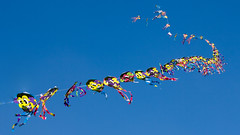 Welsh Kite Festival