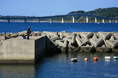 Shimado fishing port