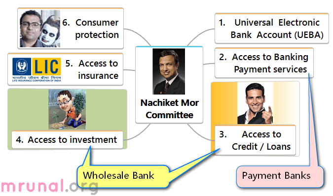 Nachiket Committee Access to investment Wholesale Bank
