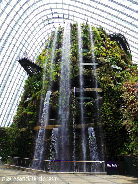 cloud forest the falls